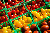 多色有机传家宝西红柿在绿色市场篮子