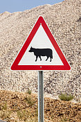 道路交通标志牛过路