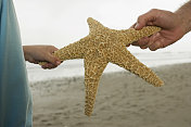 父亲和儿子的手牵着海星在海滩上的特写