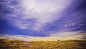 科罗拉多州卡尔汉广阔的农田景色