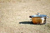 孤独的煮锅在草地上
