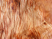 木纹纹理浮木风化木