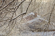 背光闪烁融化的雪。