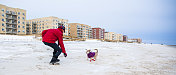 一个少女在海滩上和一只小狗玩耍