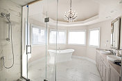 住宅中的大型现代主浴室