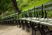 纽约曼哈顿中央公园的长椅