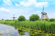 Kinderdijk Windmills夏季景观