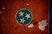 田纳西州的国旗