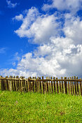 乡村木栅栏，野花和多云的天空