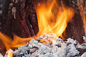 燃烧的木头里的火焰和灰烬