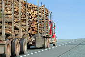 在州际公路上拖运原木的半挂车，特写