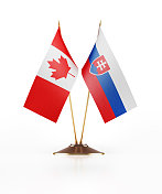 加拿大和斯洛伐克的微型国旗