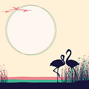 粉红色的火烈鸟在湖里