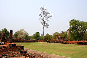 泰国素可泰的庙宇遗址和树木