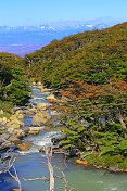 河流，Cuernos Del Paine山谷，智利巴塔哥尼亚森林景观