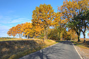 秋天的乡村路，Lüneburger黑德