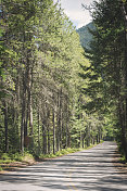 风景优美的道路冰川国家公园蒙大拿森林自然背景美国