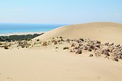 土耳其帕塔拉附近的沙丘景观