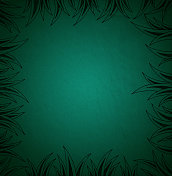 长满草的 长满草的