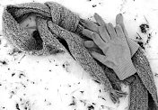 雪中的围巾和手套