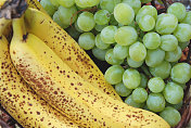 香蕉和葡萄