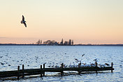 日落时分，一只海鸥飞过湖边的码头