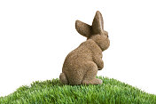 复活节兔子在草山上